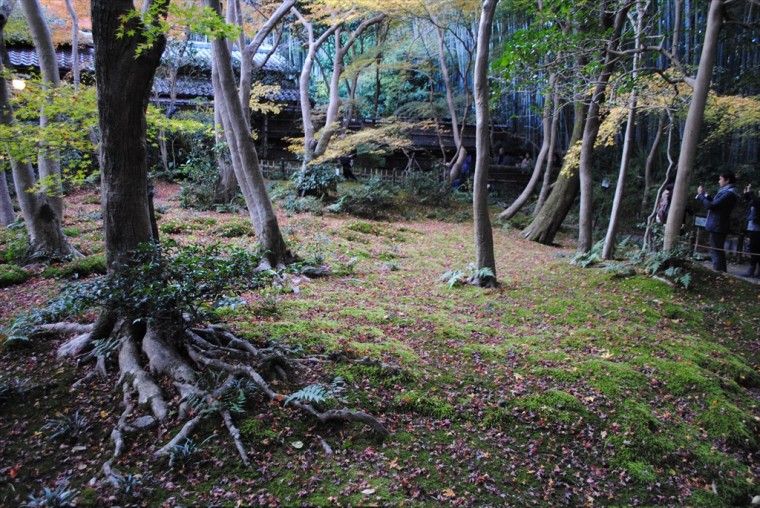 祇王寺の庭園