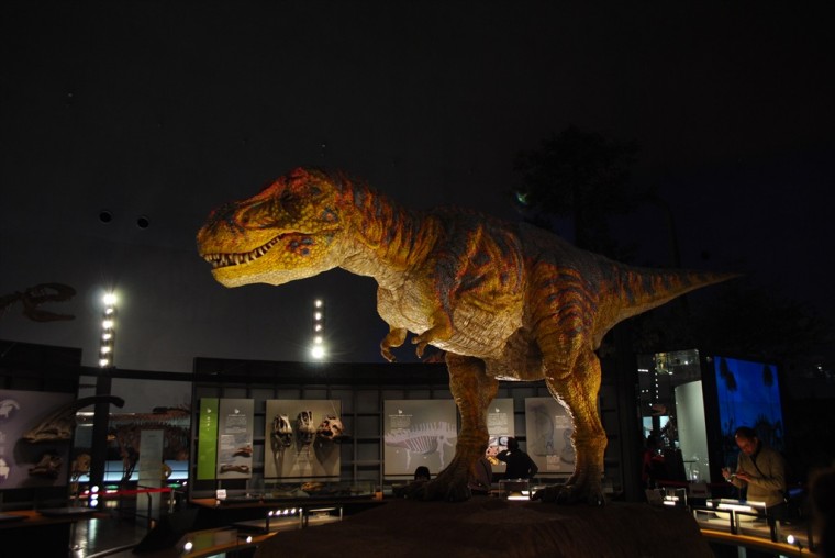 恐竜博物館のT.REX