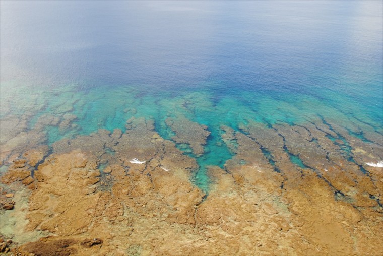 伊江島の湧出の珊瑚