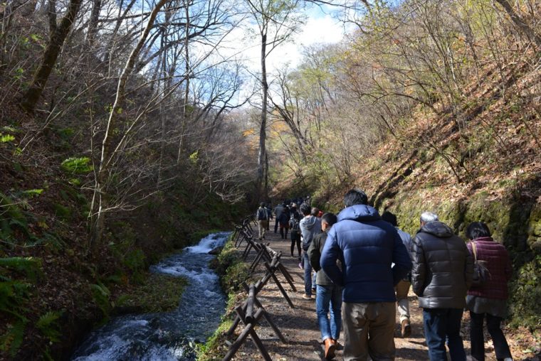 軽井沢白糸の滝への歩道